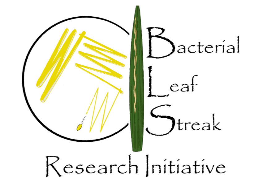 Bacterial Leaf Streak Research Initiative Conference